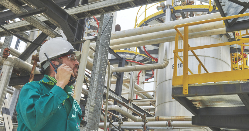 immagine della news Hera is a 360 degrees partner for corporate green services